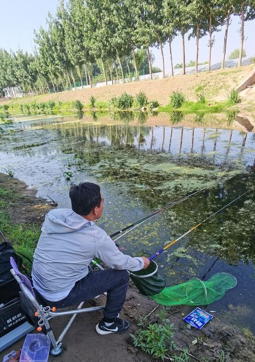 老人娴熟钓鱼技巧（捕鱼高手的心得与经验）  第3张