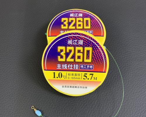 钓鱼技巧与方法（以一条鱼线为工具）  第1张