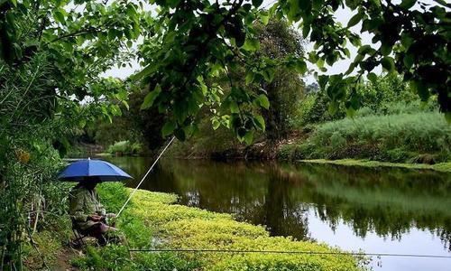 阴天钓鱼技巧汉源湖（掌握湖上秘密）  第2张