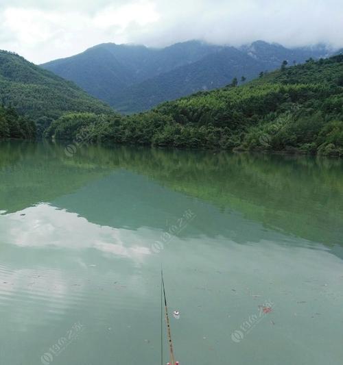 阴天钓鱼技巧指南（掌握钓鱼技巧）  第3张