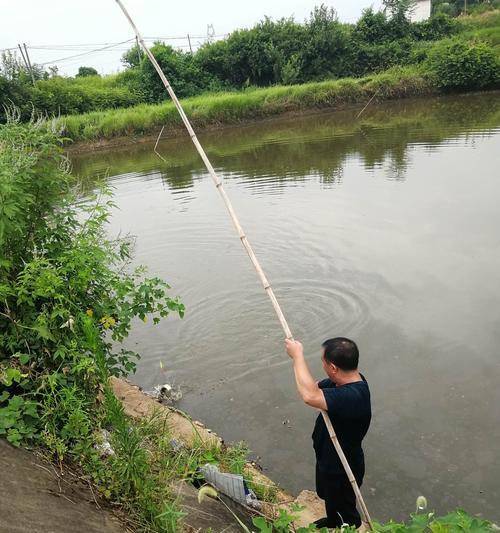 秋季阴天钓鱼的技巧（提高钓鱼成功率的五大要点）  第1张