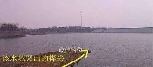 阴天混水钓鱼的技巧与策略（灵活应对变幻无常的水情）  第2张