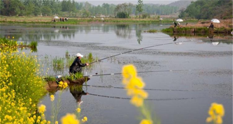 阴天闷热下的钓鱼之道（钓鱼技巧与经验分享）  第3张