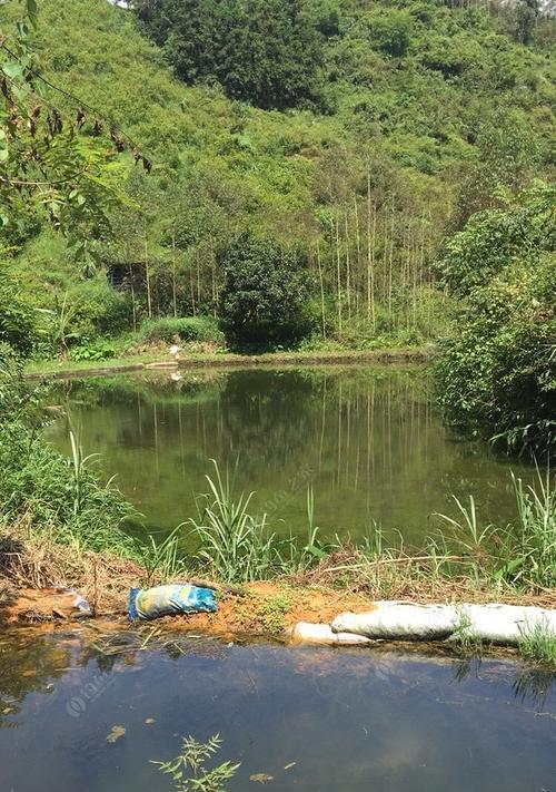 阴雨天下的钓鱼技巧（挑战天气的钓鱼窍门）  第3张