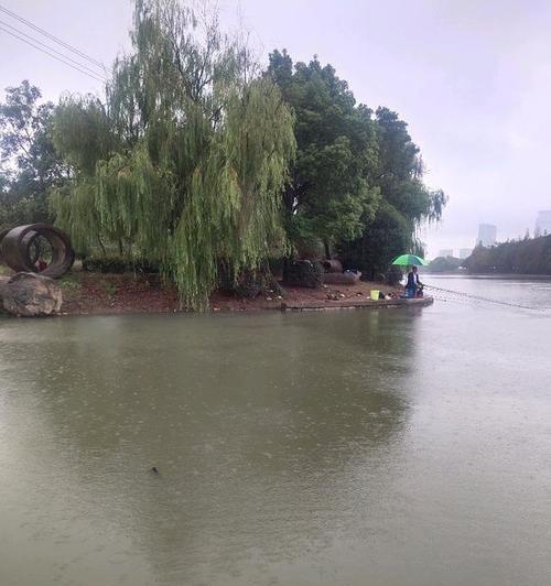 阴雨中钓鱼的技巧（钓鱼天气选择与装备的关键）  第1张