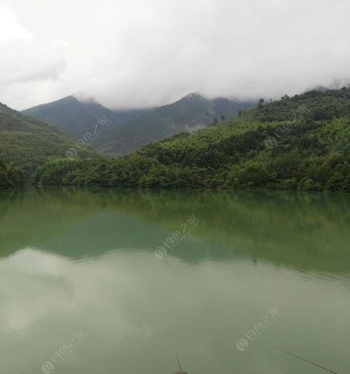 阴天钓鱼技巧（小河里的成功钓鱼秘诀）  第1张