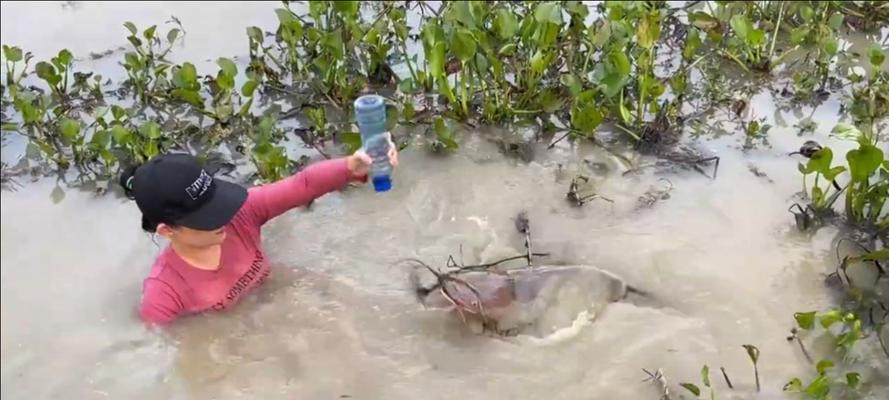 印度水坑钓鱼技巧（掌握印度水坑钓鱼的技巧和窍门）  第1张