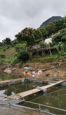 探秘英德北江钓鱼技巧（钓鱼达人分享经验）  第3张