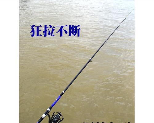 海竿钓鱼技巧（提高钓鱼成功率的关键）  第2张