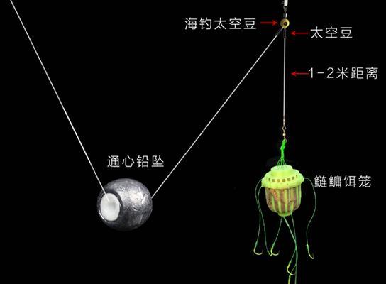 野钓鲢鳙技巧大揭秘（掌握海竿钓法轻松捕获鲢鳙）  第1张