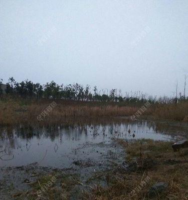 鱼塘雨天钓鱼技巧（掌握雨天钓鱼要点）  第1张