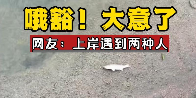 跃鱼钓鱼技巧大全（掌握技巧）  第3张