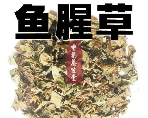 钓鱼的好帮手——鱼腥草技巧（提升钓鱼效果的秘诀）  第3张