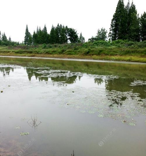 雨过天晴，钓鱼技巧大揭秘（挑战心理极限）  第3张