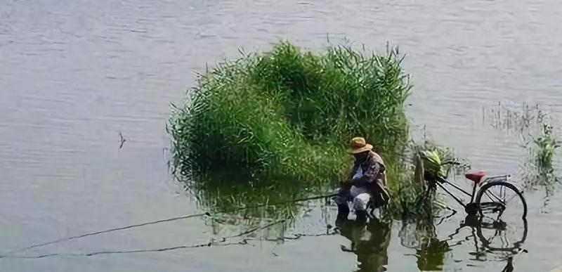 雨后钓鱼的三个小技巧（增加钓鱼成功率的关键技巧）  第2张