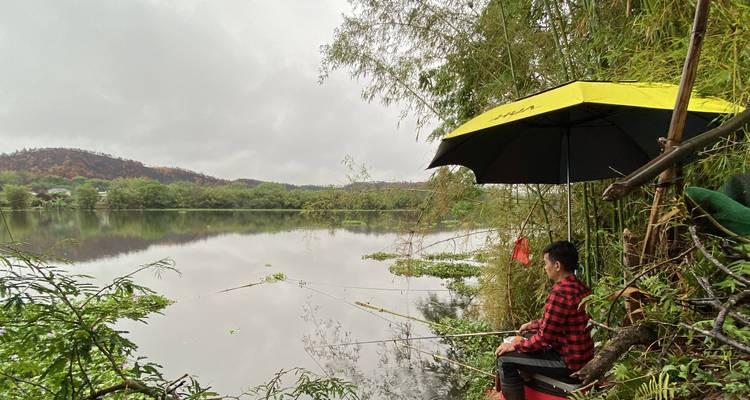 初春下小雨后钓鱼技巧（掌握技巧）  第1张