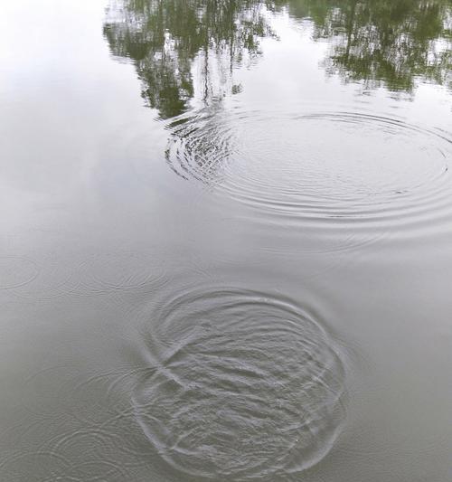 雨后钓鱼小技巧（提高钓鱼成功率的关键要素是什么）  第3张