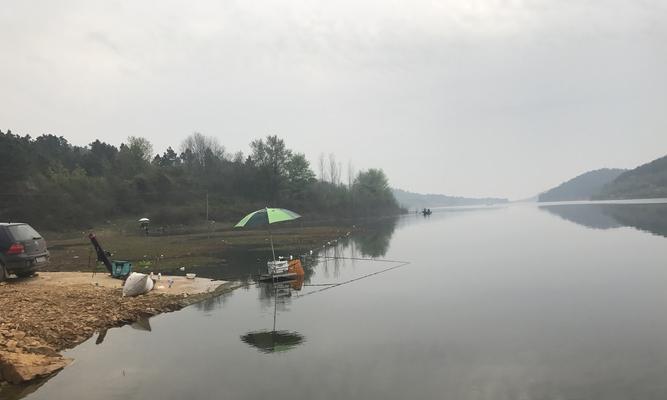 雨后水库野钓的技巧与乐趣（探索水库钓鱼新境界）  第1张