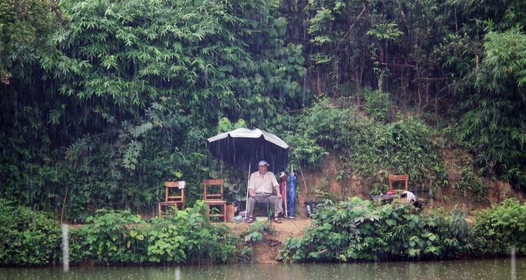 雨后天晴钓鱼技巧大揭秘（带你轻松享受湖畔钓鱼乐趣）  第2张