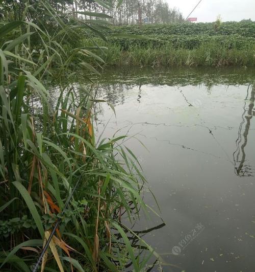 雨后天晴钓鱼技巧大揭秘（轻松掌握雨后天晴钓鱼的秘诀）  第1张