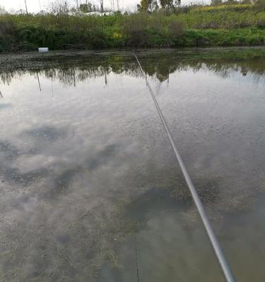 秋雨后晴天下钓鱼，技巧大揭秘（钓鱼高手必备的湖泊、时间、饵料等15个秘密揭秘）  第2张