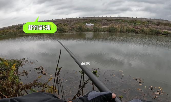 冬季雨后小溪钓鱼技巧（寻找好位置）  第1张