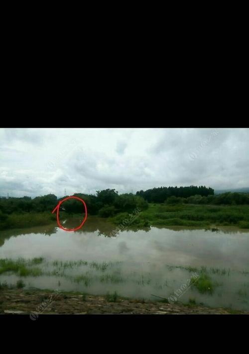 雨后涨水钓鱼技巧大揭秘（揭秘钓鱼高手的秘密武器）  第3张