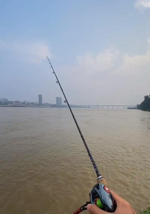 初夏雨季钓鱼技巧教程（提升钓鱼技巧）  第3张