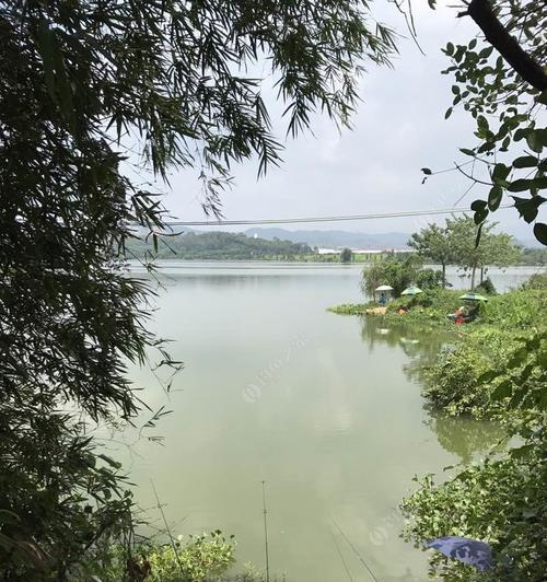 雨季河流钓鱼野钓技巧（探索丰富雨季河流的钓鱼技巧）  第1张