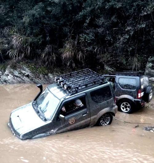 探索雨林无人区钓鱼技巧（捕获自然的丰饶游走雨林之间）  第1张