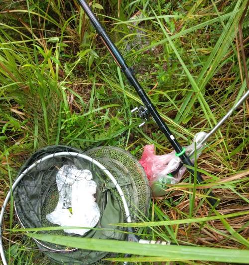 雨水钓鱼技巧大揭秘（雨中捕获美味的秘密武器）  第2张