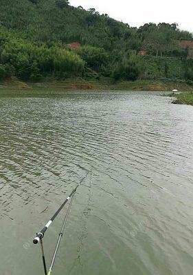 雨水后小水库钓鱼技巧（雨水时机）  第1张