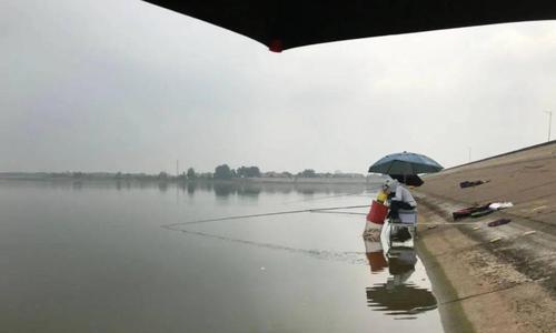 雨后野钓的技巧（掌握雨水后的钓鱼窍门）  第3张