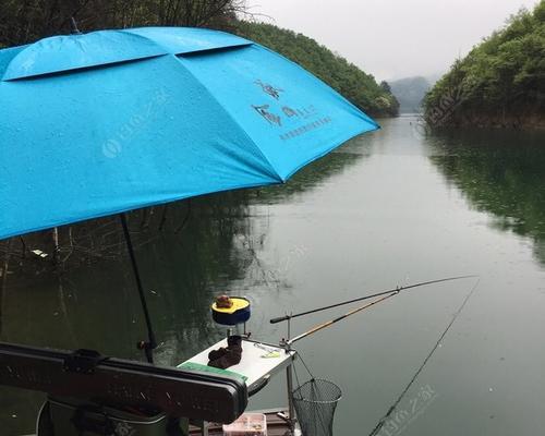 雨水季节水库钓鱼技巧（享受雨天美食的钓鱼乐趣）  第1张