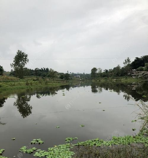 雨水季节水库钓鱼技巧（雨季水库钓鱼的实用技巧及策略）  第3张