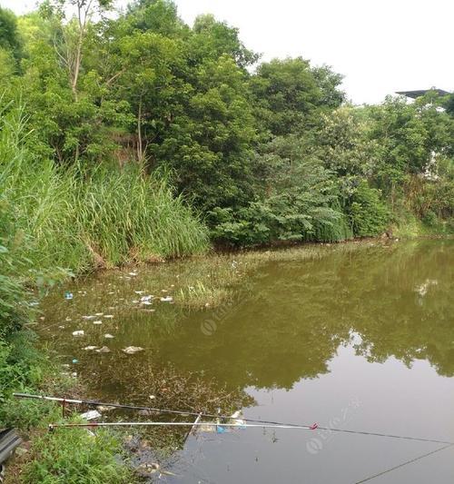 雨水季节水库野钓的技巧（雨季水库钓鱼的必备攻略）  第2张