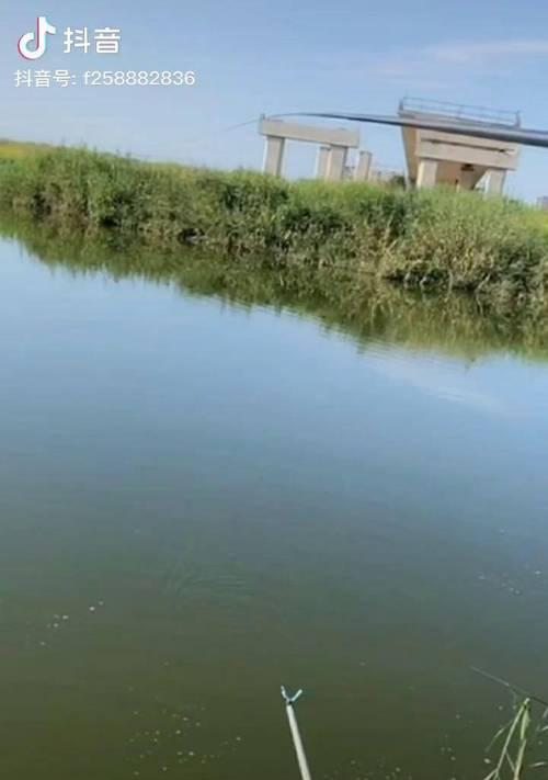 雨水季节水库野钓技巧与方法（探秘水库钓鱼技巧）  第1张