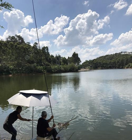 雨水季节水库野钓技巧与方法（探秘水库钓鱼技巧）  第2张