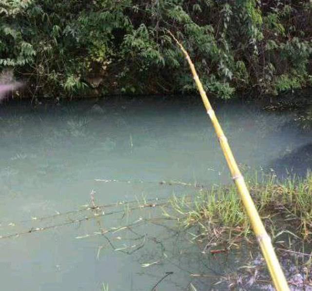 南方雨水节气下的钓鱼技巧（雨水钓鱼）  第1张