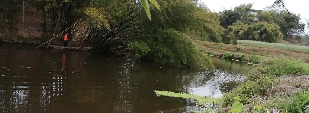 雨水野河钓鱼技巧（掌握雨水条件下的钓鱼技巧）  第1张