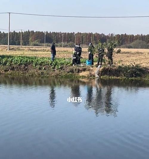 雨水野河钓鱼技巧（掌握雨水条件下的钓鱼技巧）  第2张