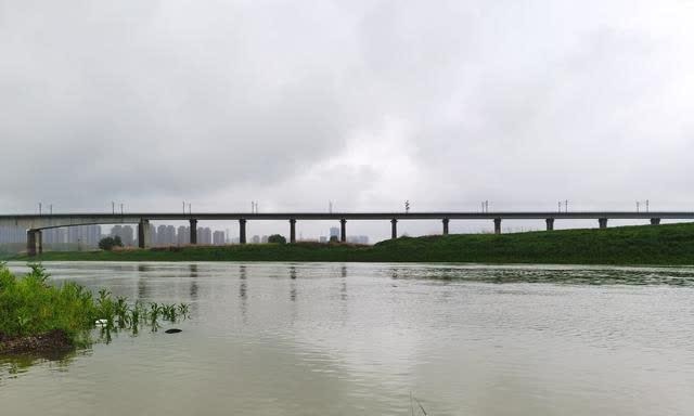 春雨中钓鱼的技巧（春天雨天钓鱼三招）  第3张