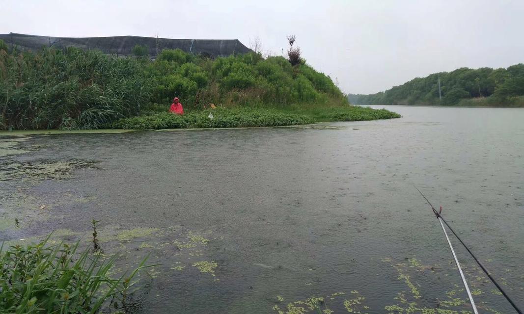 冬天下雨天钓鱼的三大技巧（让你轻松应对寒冷雨天钓鱼的技巧）  第1张