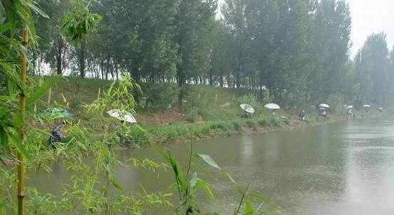 雨天钓鱼的技巧与方法（享受雨中渔乐）  第2张