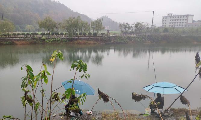 雨天钓鱼的实用技巧（享受雨中垂钓的乐趣）  第2张