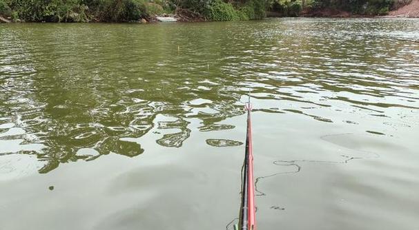 雨天钓鱼的实用技巧（享受雨中垂钓的乐趣）  第3张