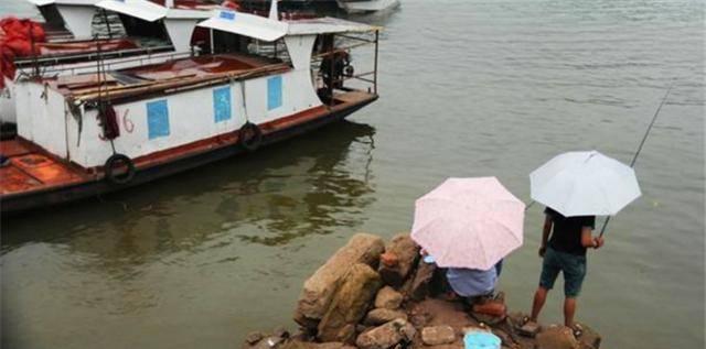 雨天钓鱼技巧与注意事项（玩转雨天垂钓）  第2张