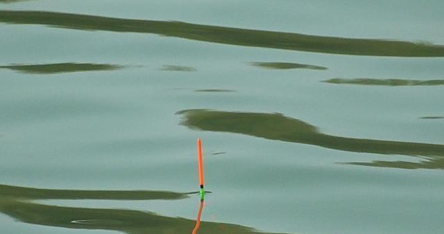 雨天钓鱼技巧教程（调漂技巧让你雨天钓鱼事半功倍）  第1张