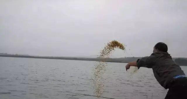 雨天钓鱼技巧——寻找鱼窝的秘籍（潜心探寻鱼群栖息地）  第3张