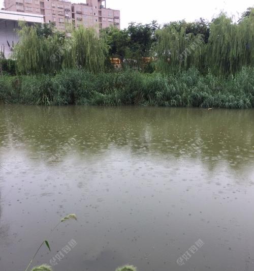 雨天钓鱼技巧（雨天钓鱼的调漂技巧与关键方法分享）  第3张